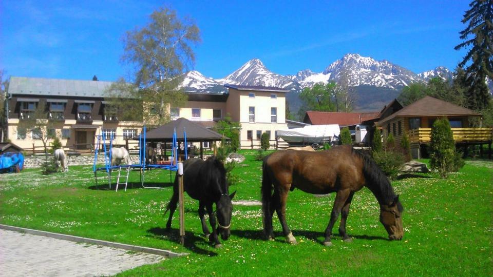 Отель Penzion Monty Ranch Vysoke Tatry Штола Экстерьер фото