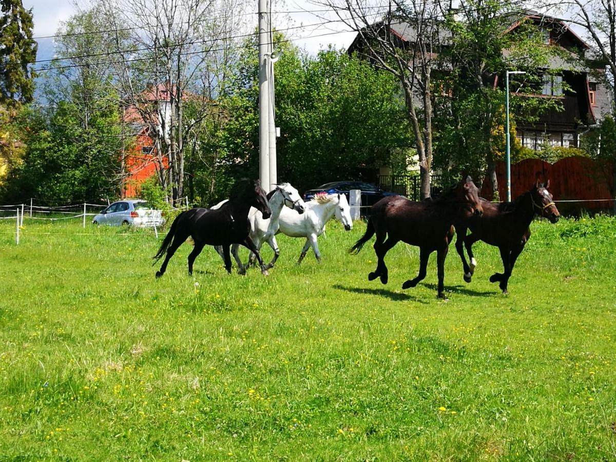 Отель Penzion Monty Ranch Vysoke Tatry Штола Экстерьер фото